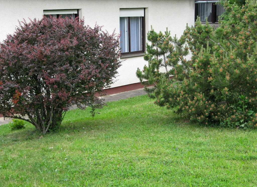 Budai Garden House Héviz Pokój zdjęcie