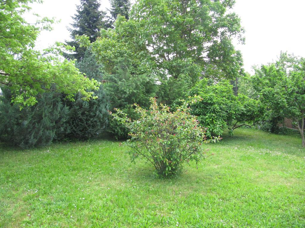 Budai Garden House Héviz Pokój zdjęcie